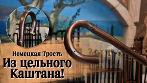 Что делать, если нужна красивая, но сдержанная трость? | Трость "Кельн"