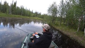 Видео зарисовки на тему... воблер Plotva Twin