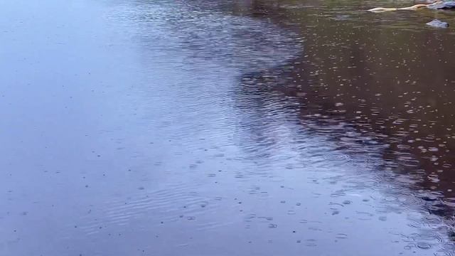 Валерий Ободзинский «Восточная песня» смотреть онлайн