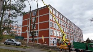 Как пилят деревья в Европпе