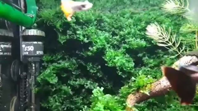 Небольшой апгрейд и новые планы смотреть онлайн