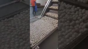 Линия для производства фрикаделек (вареные) 2 Китай