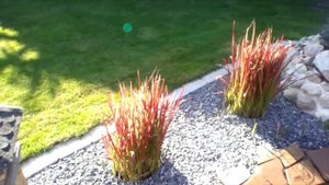 Офигенно красивый пруд  с фонтаном своими руками!