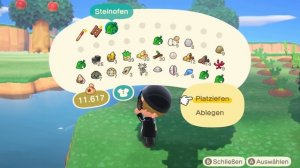 Der Weg zur besten Animal Crossing Insel (GANZER FILM)