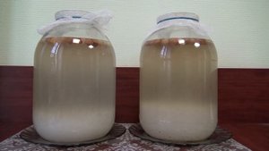 Индийский морской рис. Два вида. Две вторичные ферментации.
