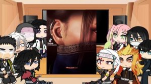 Demon slayer react to y/n as kitana
