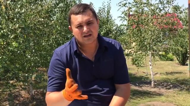 Обзор КАЗАН,МАНГАЛ,ШАМПУРА,БОЧКА "Моё Мнение"#казан#мангал#шампура смотреть онлайн