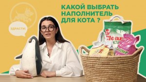 Какой наполнитель для кота выбрать?