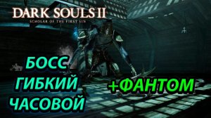 САМЫЙ ГИБКИЙ БОСС! ГИБКИЙ ЧАСОВОЙ Dark Souls 2: scholar of the first sin