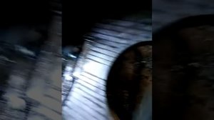 Поддон МТЗ д 240 для т 40