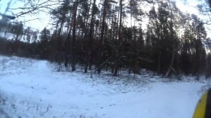 Охота с гончими . Кто дома сидит тот гона и не услышал.#охотасгончими#гонч ие#заец#лиса