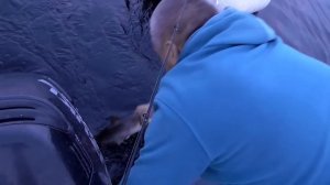 На катере вокруг Кольского полуострова