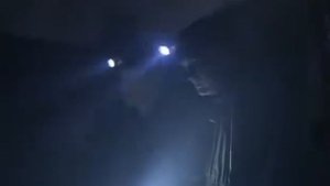 Янтарь барон 6с