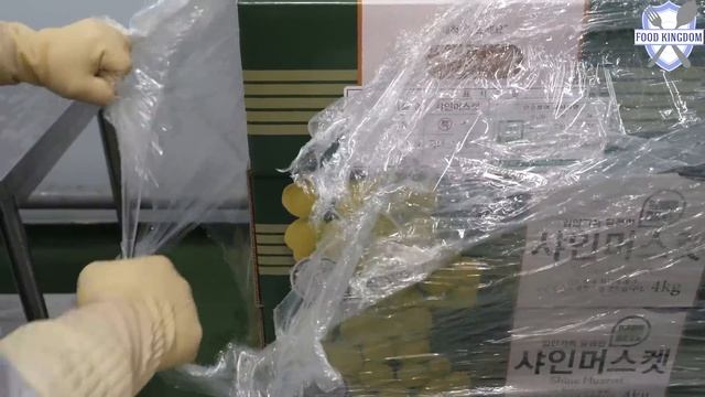 평소에 궁금했던 K- 식품공장의 대량생산 몰아보기 / Amazing Korean Food Mass Production - Korea Food Factory