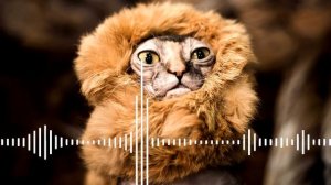 Lion Roar/Рык льва/Рёв льва /Рычание льва/Лев рычит