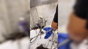 Женщина загадка.mp4