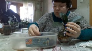 МИНИ МАРК посадка в З/С.