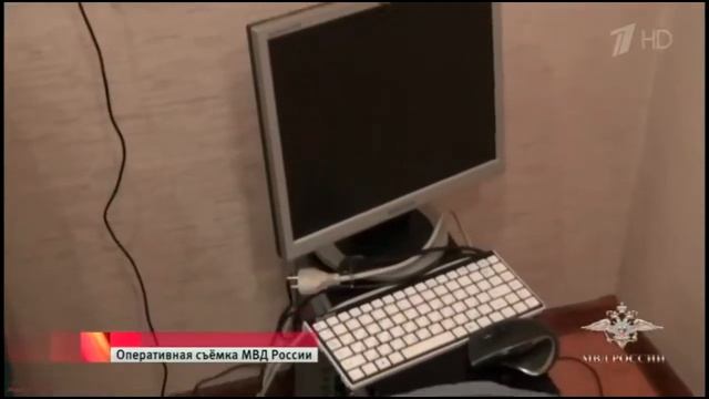 ГЛ 28 УК. Преступления в сфере компьютерной информации смотреть онлайн