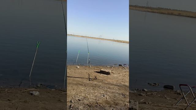 самая смешная рыбалка смотреть онлайн