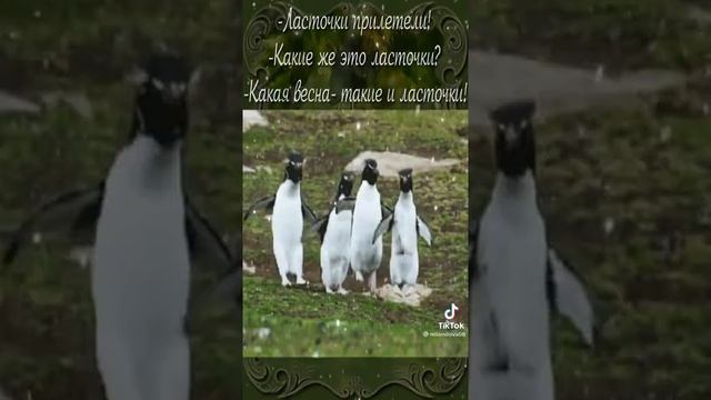 Весна, ласточки прилетели