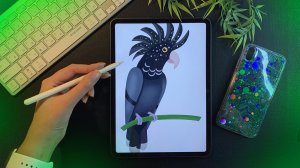 Как на рисовать попугая какаду ✦ Рисую попугая поэтапно