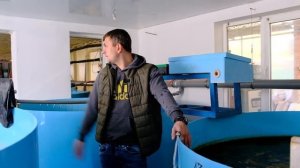 Форель и осётр  Обзор фермы.