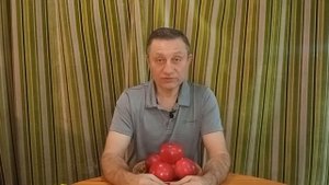 Сорт яблони Лобо (Lobo)