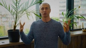 Алексей Гаршин: мастер-класс "Энергия успеха"