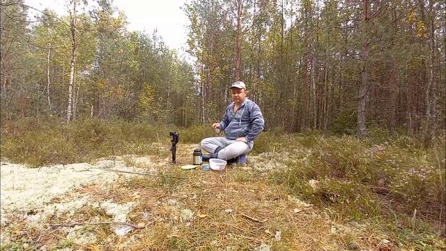 ГРИБ ПОПЁР! ВЕСЬ ДЕНЬ В ЛЕСУ! Медведи. Вырубка деревьев. Лесной обед. Северная природа Беларуси
