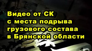 Видео от СК с места подрыва грузового состава в Брянской области