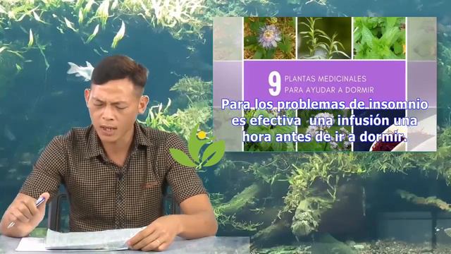 5 plantas para dormir bien | Ahey смотреть онлайн