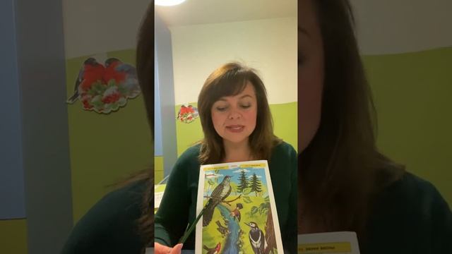 Птицы. Часть 2 . Сказка. Дятел и сова смотреть онлайн