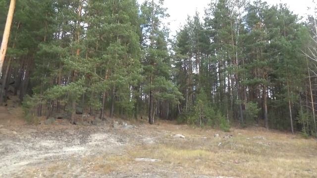 Осенняя прогулка на уральское озеро Белоусово смотреть онлайн