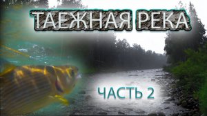 ЗАБРАЛИСЬ В ДЕБРИ ЗА ХАРИУСОМ!!/ Рыбалка в грозу./Рыбалка на хариуса в Дикой Тайге!!! ЧАСТЬ ВТОРАЯ.