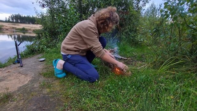 24 часа в лесу.Сбор ягод 2023. Брусника и голубика. смотреть онлайн