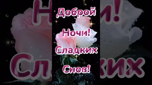 Добрый вечер, спокойной ночи, сладких снов!