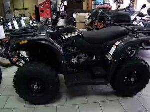 Квадроцикл Stels ATV 500YS ST Leopard