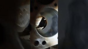 Супер хонинговка.Хон.Рено мастер 2,2л турбо.А можно такую выработку...?