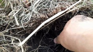 МеталлоКОП 2021 первый раз копаем чермет собираем металлолом поиск с металлоискателем