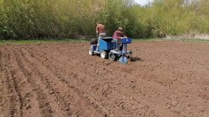 Посадка картофеля 2021 года. Картофелесажалка с ручной подачей к мини трактору.