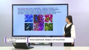 Естествознание. 5 класс. Многообразие живых организмов /27.04.2021/