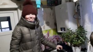 342/Пеку печенькиКакой расход газа в морозы.Падает давление.