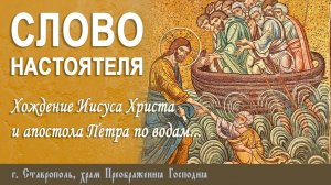 СЛОВО НАСТОЯТЕЛЯ. Протоиерей Владимир Сафонов, 25 августа 2024 г.