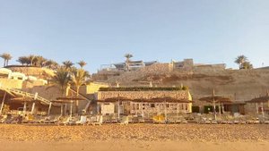 Reef Oasis Beach Пляж, Египет, Шарм-эль-Шейх