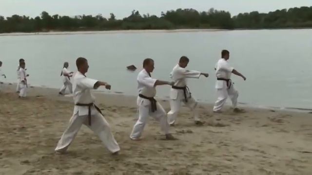 Киокусинкай.Паутина Шина смотреть онлайн