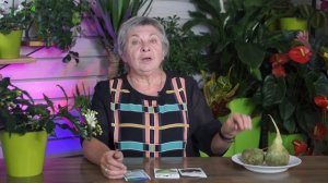 Лучшая Редька - ЭТО Маргеланская ✔️ Как Вырастить Редьку сад