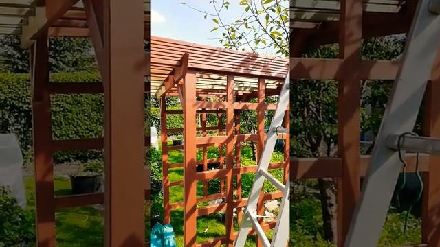 Арка Pergola своими руками на дачу #shorts