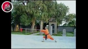 Шаолиньское ушу: копье семьи Ян