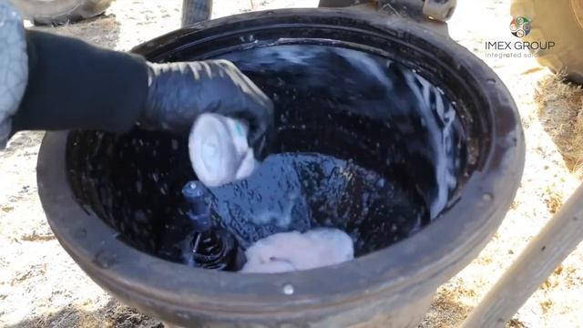 Закладка эксперимента по минимальным дозам глифосата Торнадо 540 совместо с pH Power (Nando) смотреть онлайн