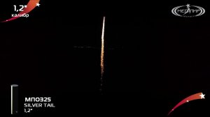 Одиночный салют, сингл Мегапир SILVER TAIL МПО325